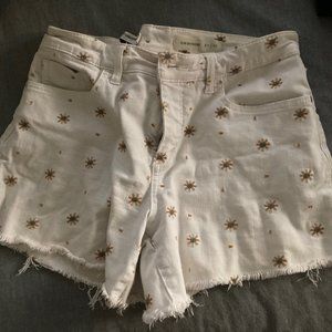 Anthropolgie/ Pilcron stretch Shorts